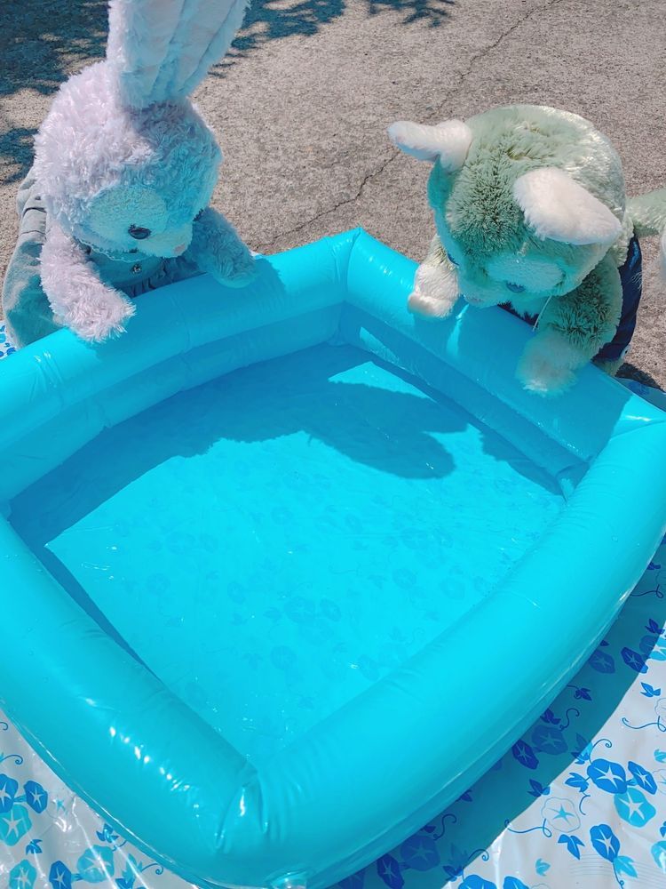 あつい夏はプールにかぎるよね！ひっこすまえはこうしてお庭でルーちゃんといっしょにプールしたの楽しかったなー今はお家がせまくて出来ないけどねぇねにたのんでおへやでできないかたのんでみようかな…