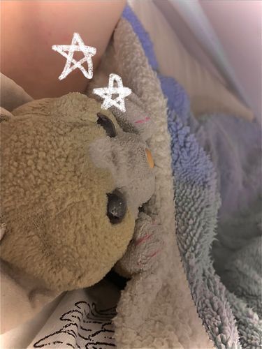ほごしゃとひさしぶりにおふとんでねるよ。ほごしゃがちいさいときは、まいにちいっしょだったけど、おとなになってからはすくなくなってさびしかったからぷりんはうれしいです！