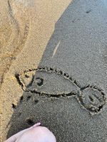 ゆらん