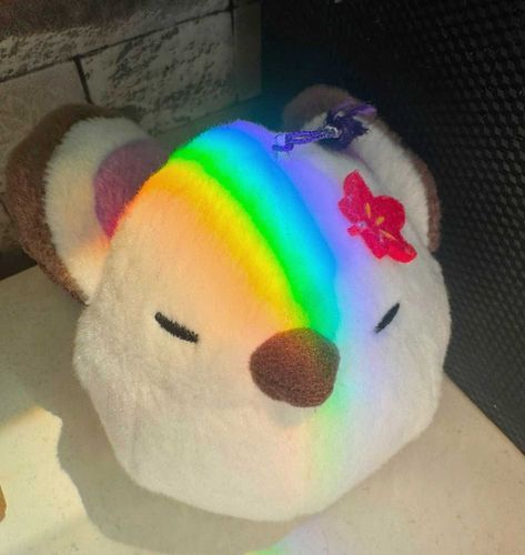虹シマエナガ🌈🤍
朝起きたらこんな光景見えた！
可愛いと思って撮った！！
