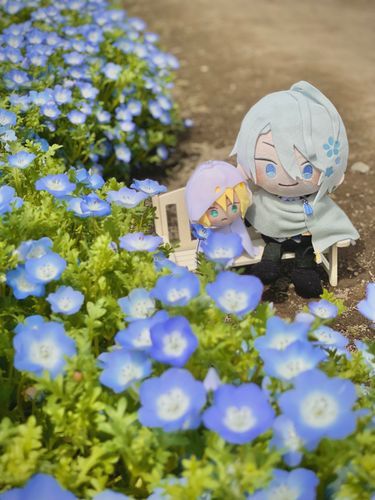 ちょうぎ：いい天気だね。花も元気そうだよ☀️