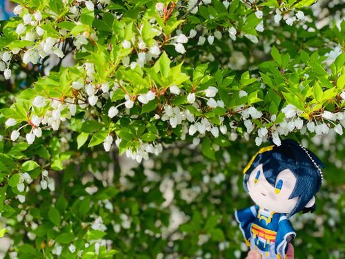 📍🌙：おはよう☺️