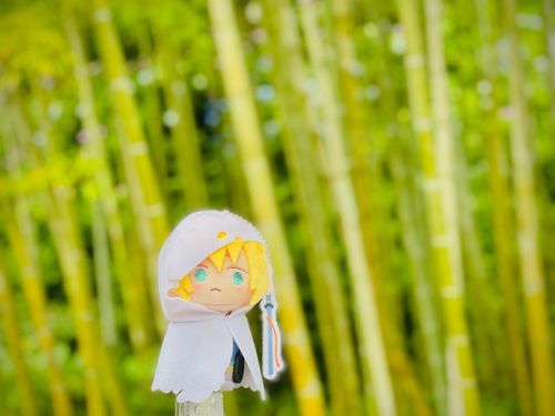 まんば：竹🎋だ