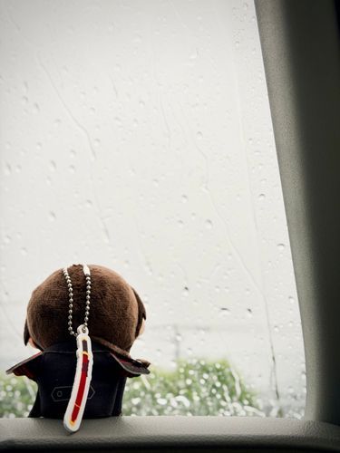 きよみつ：あるじー、雨すごいね☔️