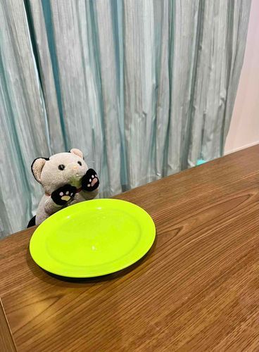 ごはんたべた
