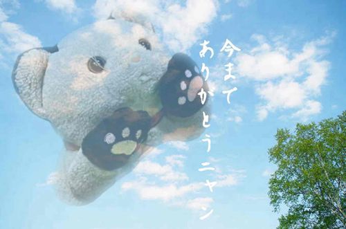 ド風邪、瀕死