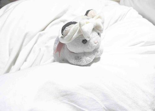 こんなにも可愛いのに、一文無しである