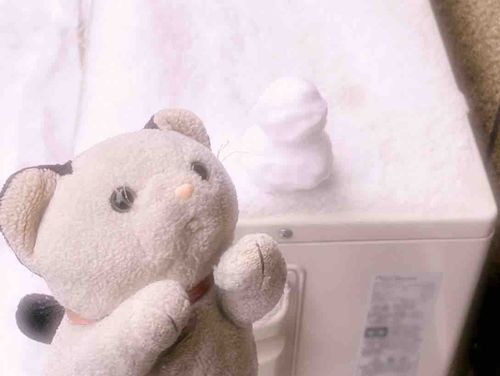 ゆきや にゃんこ
あられや にゃんこ