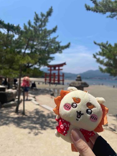 さんぱい　できました