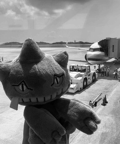 キミに　決めた！