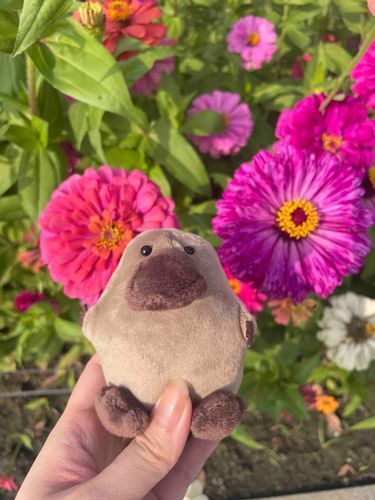 いいかおり🌸