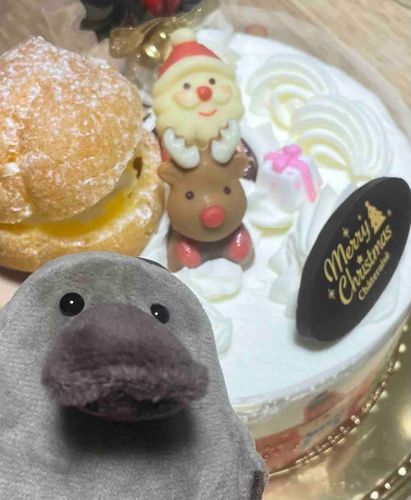 🦌めりーくりすます🎅