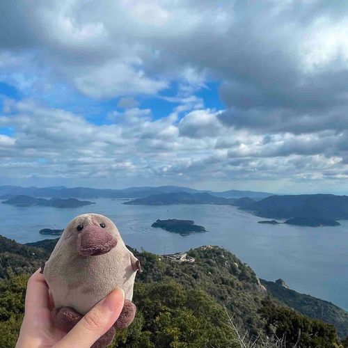 早朝から　とざん