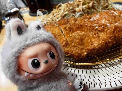 新しい友達と鳥かつ
塩がうまい