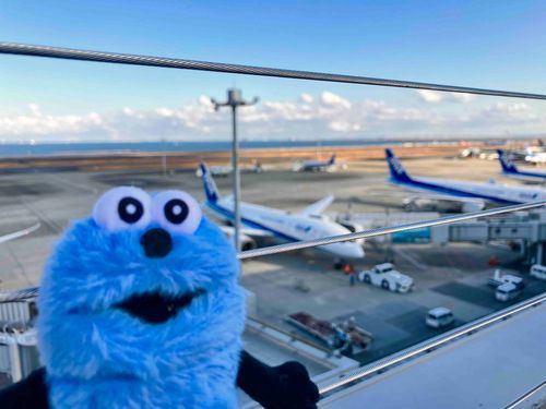 ひこうき✈️ふわぁ