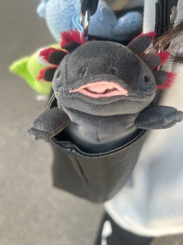 市内のおっきなお祭りがスタートしたんだって！
ぼくも飼い主と一緒に行けたらいいなぁ🎶
