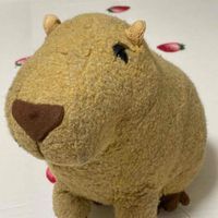 カピマザー