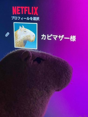 カピマザー様
