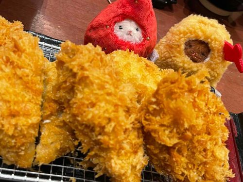 欲しい子はお迎えできず…
しかしこの子達も可愛いです。