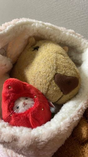カピマザー　です。

この苺　食べられない　わ。