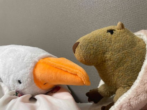 🪿マザー、眠いよ〜。。

起きなさい💢