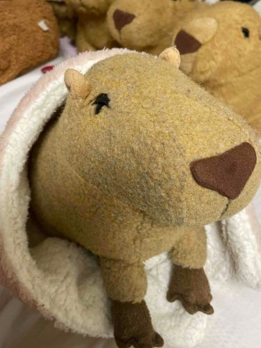 もう　寝るわ　よ！
みんな　集まって　。