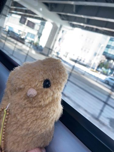 ちゃいちゃいっ✨