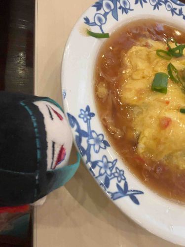 はじめてのぼうちゅうかちぇーんてんでのごはんだ。てんしんはんのなかみはちゃーはんにかぎるな。