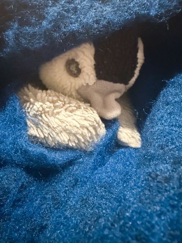 みんな、台風だいじょぶだった？

ぺんちゃん、「ぺんちゃんのおうち、とんでっちゃうー？！」っておもってた！！
風びゅーびゅーって！おうちガダガタッて！

ずっとおそとで、だれか窓たたくみたいで、すっごく びっくりした:( ;´꒳`;):

でも ぺんちゃんは ぜーんぜん！こわくなかったけどね！