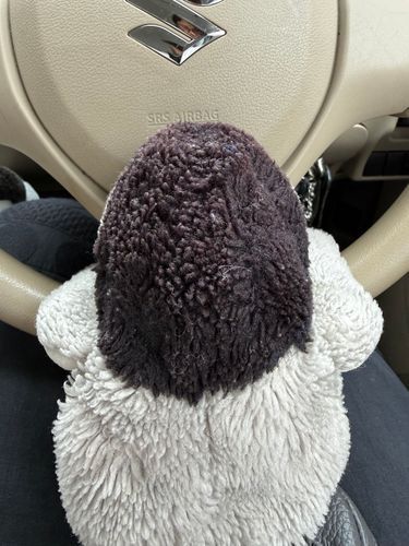 ぶーん！
ぺんちゃん いまから、ご旅行よ！
しゅっぱつしんこー！！