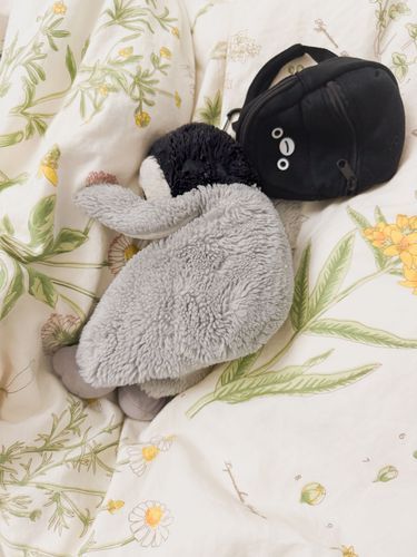 ご旅行楽しかったね、ぺんちゃん

おつかれさま
おやすみ、よい夢を