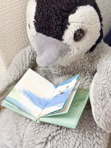 ぺんちゃん、いーちゃんにご本買ってもらっちゃった(*,,˃ ᵕ ˂ )✰*｡

マゼランペンギンさんのご本だよ