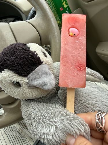 とけないアイスたびるよ！
ぺんちゃん寝てるうちにおうち出発して、とっても遠いとこ、つれてきてもらた
「とちぎけん」ていうんだって

ぺんちゃん、たびるのゆっくりだから、いつもアイス落ちちゃうけど、さいごまでたびれたよ！

ぺんぎんさんこんにちはしててかわいかった