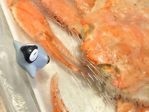 みて！カニさん🦀
おともだちがおみやげくれたの！！

んもー、すっごくおいしかったପ(◍˘ ꒳˘).｡oO
ぺんちゃん、カニさん大好きだから…
