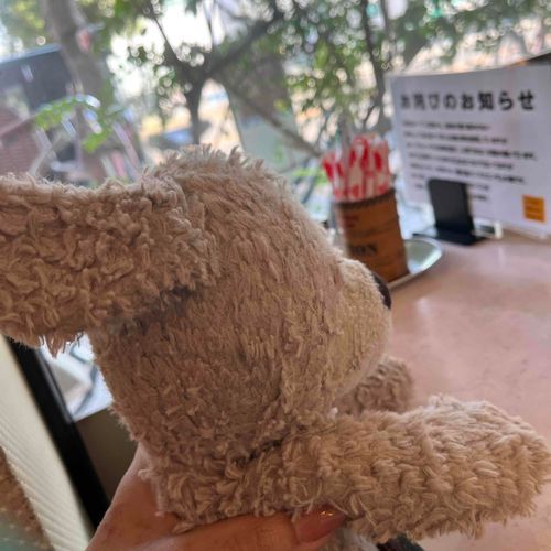 ひーちゃんとあ～ちゃん(パパちむだよ♪)と3人できっさてん！

二人はモーニングたのんだみたい、ちゃいこも楽しみだなあ♡