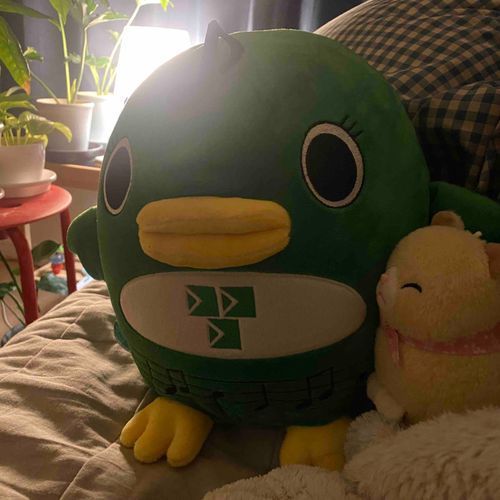 あたらしいおともだち、なかよしになれるかな✉️🌵🦜