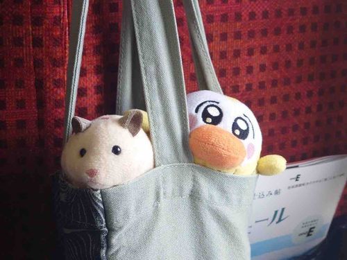 ちらっ