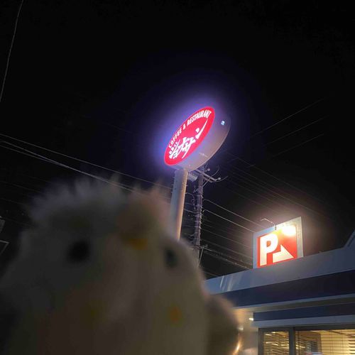 じょなサン
（初登場のミミズク）