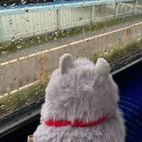 ほこり