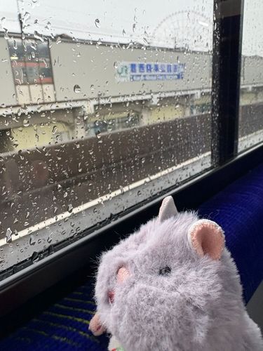 雨だなぁ…