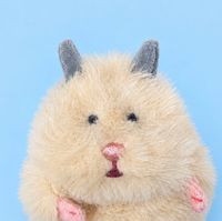 のすけ
