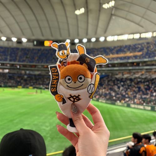 ほんじつは、野球メガホンスタイルなのだ