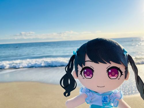 冬の江ノ島の海です！綺麗だなぁ✨
(2022)