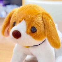 コロち