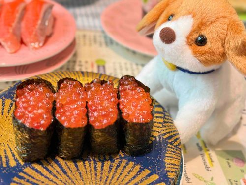 おすし！