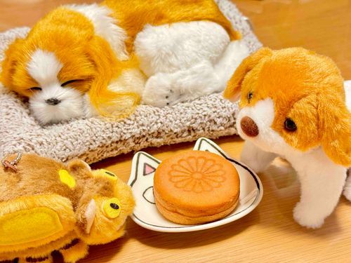 おこしてあげる？