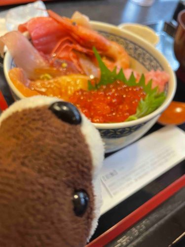 おさかなたくさんのったご飯食べたね