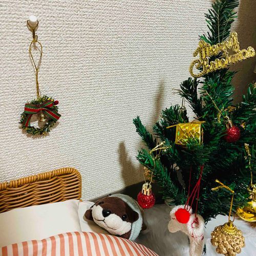 今年はサンタさんがきてくれるはずだね