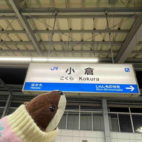 年末にごんちゃんは主人とはじめて九州地方へむかったよ
美味しいもの沢山食べて帰ったね