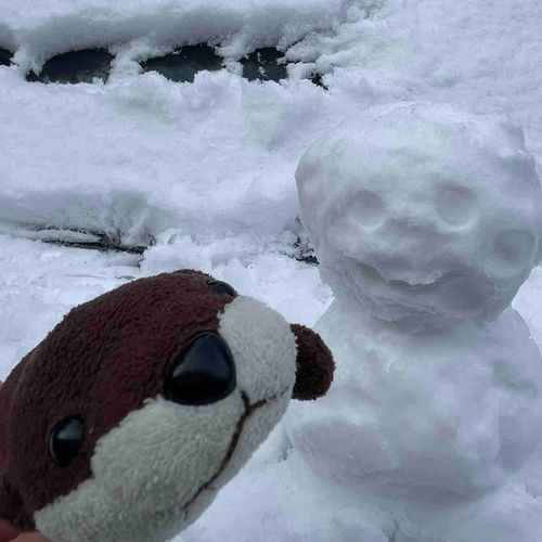少し前にわたがしがお空から降ってきた
主人はわたがしで遊んでたね、食べ物で遊んだらだめなのに